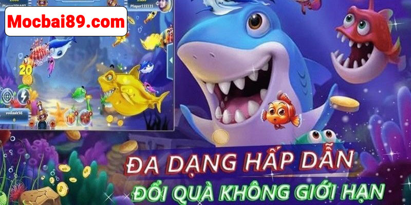 Đại dương đầy màu sắc hứa hẹn sẽ mang đến vô vàn trải nghiệm thú vị