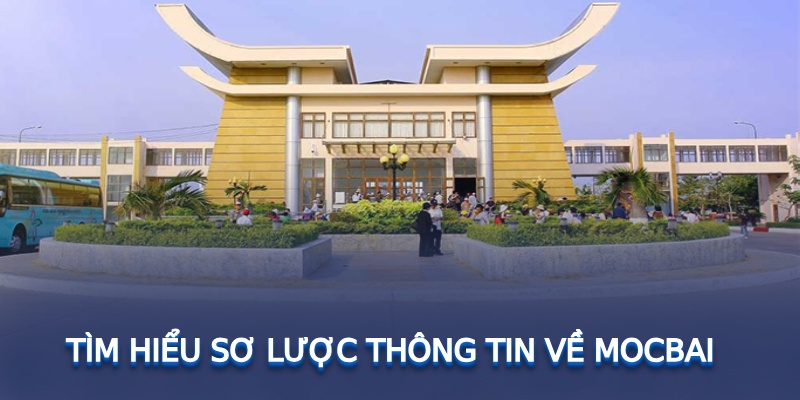 Tìm hiểu sơ lược thông tin về mb66